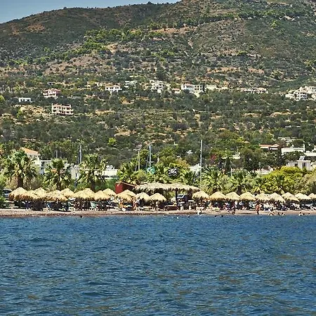 Πανδοχείο πανσιόν τζίνα