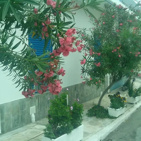 πανσιόν τζίνα Πανδοχείο
